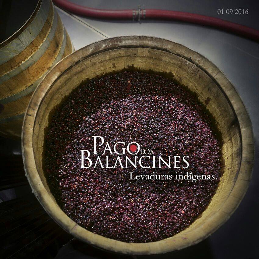 Bodega Pago Los Balancines