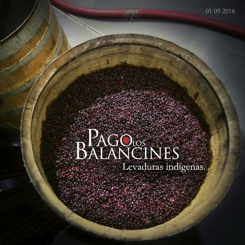 Pago-Balancines-2